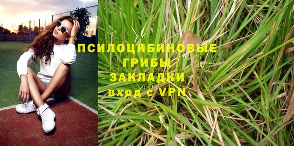 спиды Алзамай