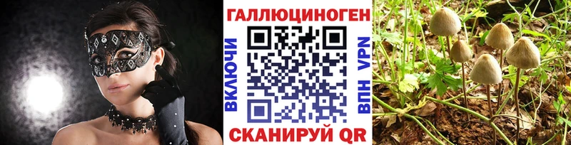 Псилоцибиновые грибы мухоморы  Ливны 